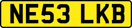 NE53LKB