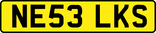 NE53LKS