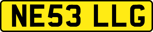 NE53LLG
