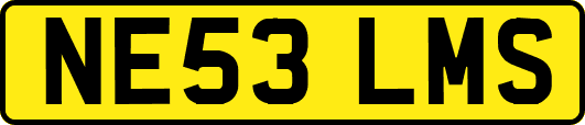 NE53LMS