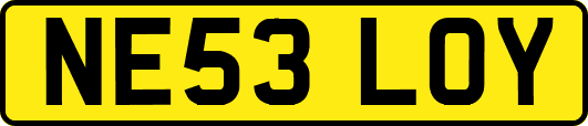 NE53LOY