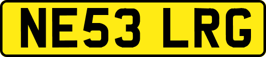 NE53LRG