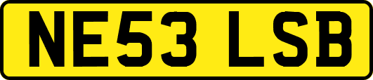 NE53LSB