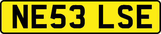 NE53LSE