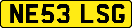 NE53LSG