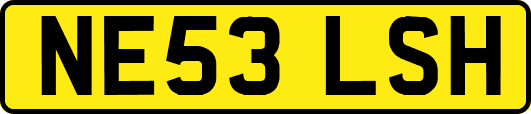 NE53LSH