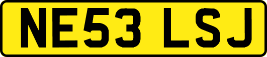 NE53LSJ