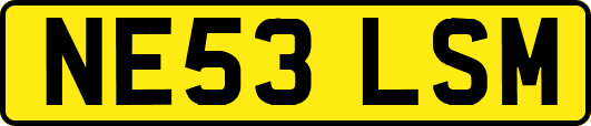 NE53LSM