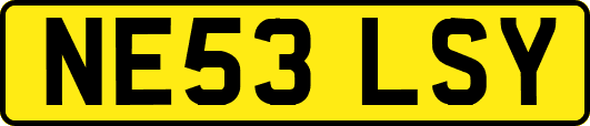 NE53LSY