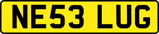 NE53LUG