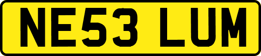 NE53LUM