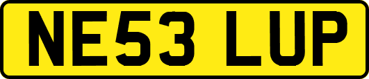 NE53LUP