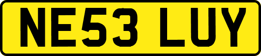 NE53LUY