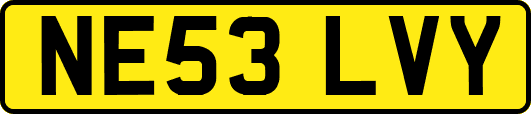 NE53LVY