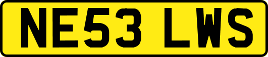 NE53LWS