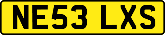 NE53LXS
