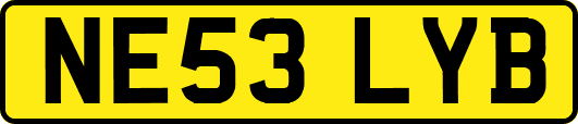 NE53LYB