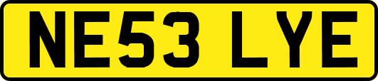 NE53LYE