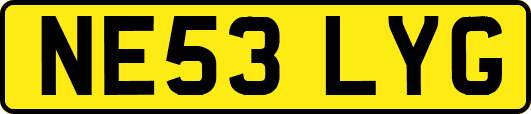 NE53LYG