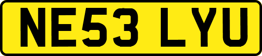NE53LYU