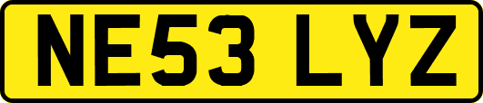 NE53LYZ