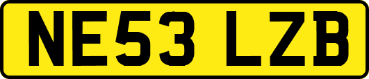 NE53LZB