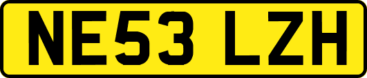 NE53LZH