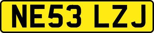 NE53LZJ