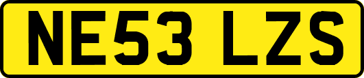 NE53LZS