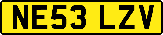 NE53LZV