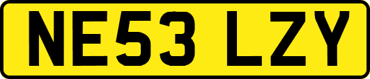 NE53LZY