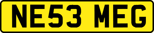 NE53MEG