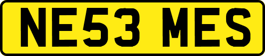 NE53MES