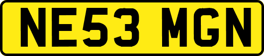 NE53MGN