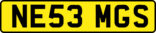 NE53MGS