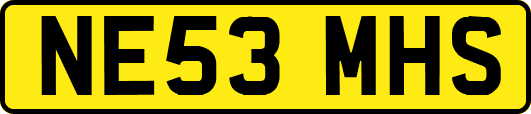 NE53MHS