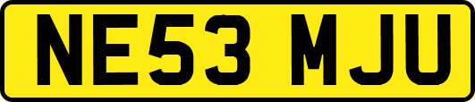 NE53MJU