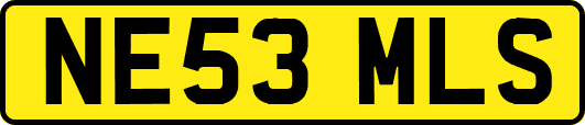 NE53MLS