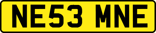 NE53MNE