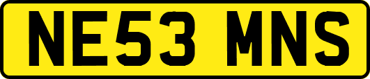 NE53MNS