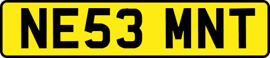 NE53MNT
