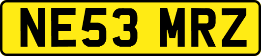 NE53MRZ
