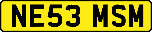 NE53MSM