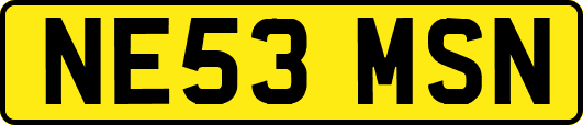 NE53MSN