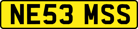 NE53MSS