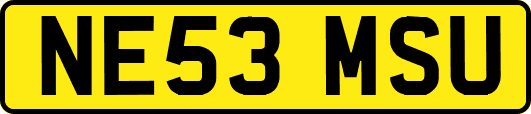 NE53MSU