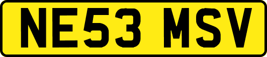 NE53MSV