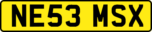 NE53MSX