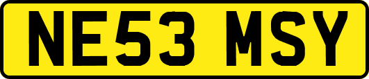 NE53MSY
