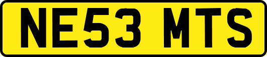 NE53MTS